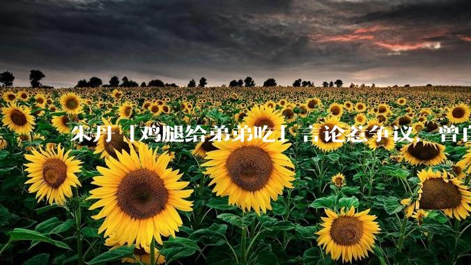 朱丹「鸡腿给弟弟吃」言论惹争议，曾自曝让女儿儿子上混龄班以便让姐姐照顾弟弟，如何看待其观点？